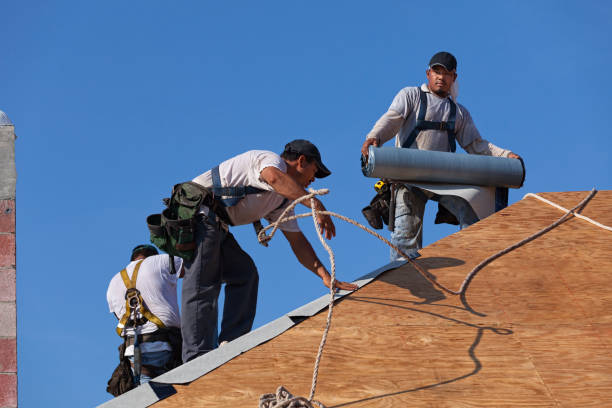 Best New Roof Installation  in Des Plaines, IL