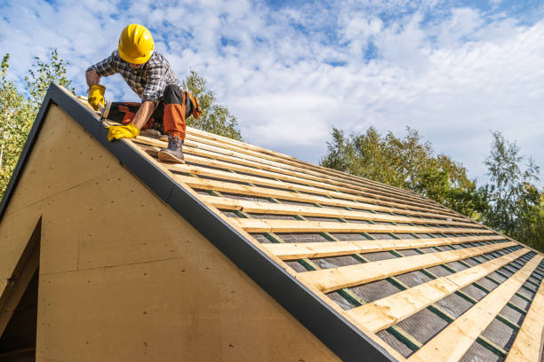 Best Roof Gutter Cleaning  in Des Plaines, IL