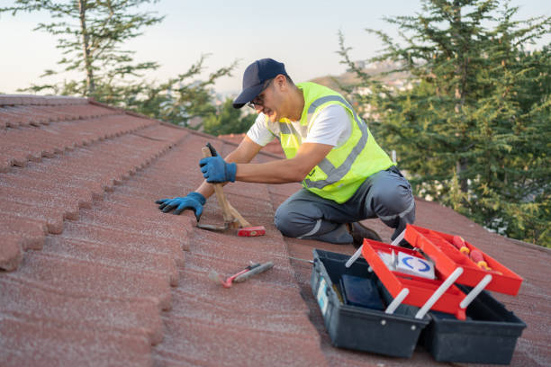 Quick and Trustworthy Emergency Roof Repair Services in Des Plaines, IL