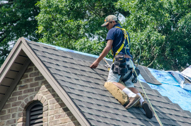 Best Residential Roof Replacement  in Des Plaines, IL